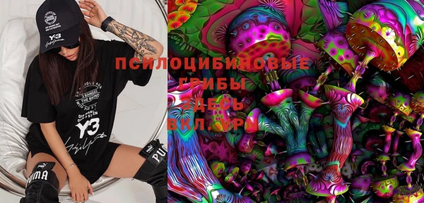 стафф Алексеевка