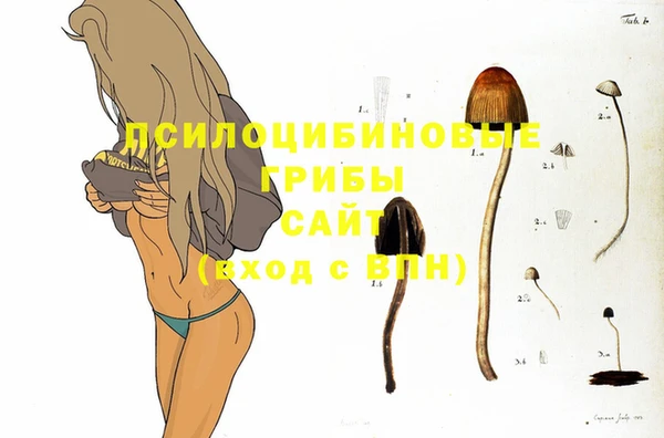 стафф Алексеевка