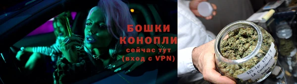 дурь Алзамай
