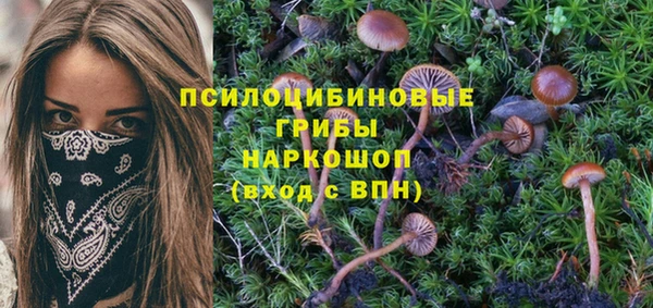 стафф Алексеевка
