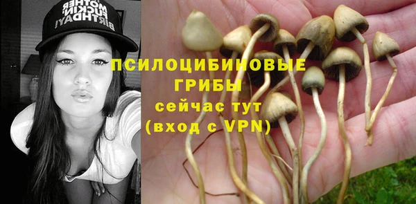 дурь Алзамай