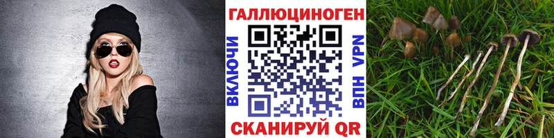 наркота  Осинники  Галлюциногенные грибы GOLDEN TEACHER 