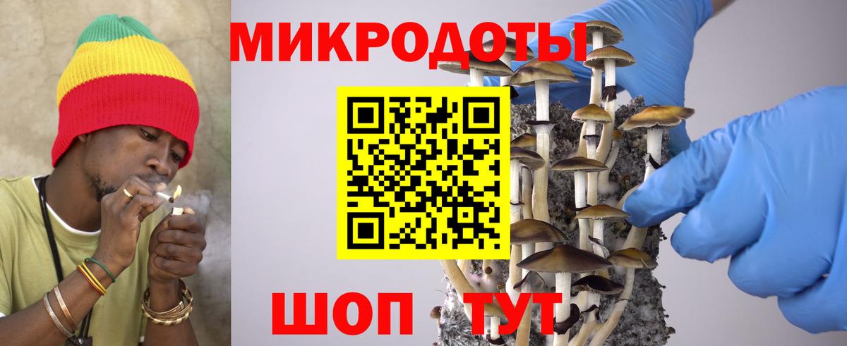 Осинники  Псилоцибиновые грибы Psilocybe  Вход с VPN 