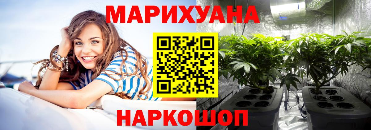 Бошки Шишки семена  Вход с VPN  Каннабис тримм  Осинники 