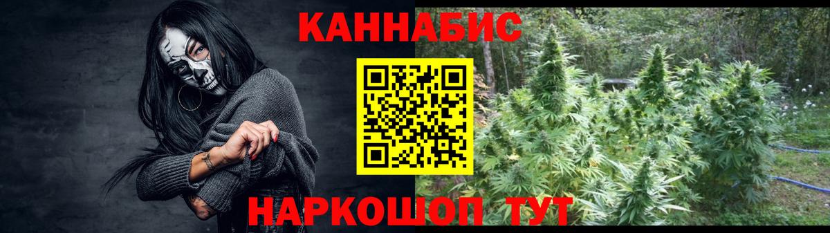 Каннабис OG Kush Осинники
